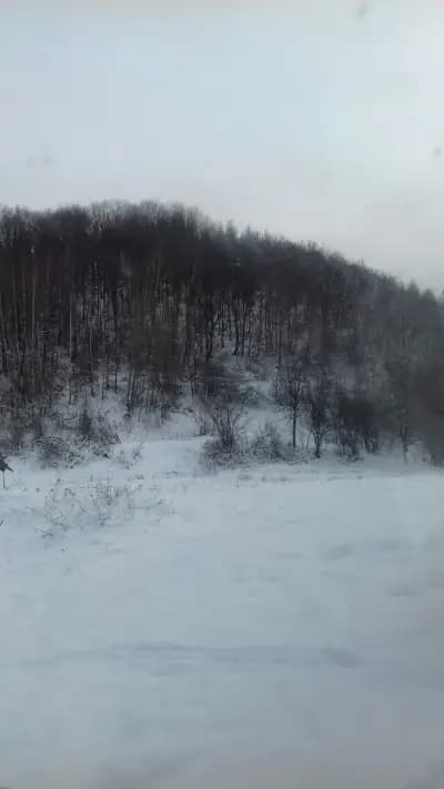 Къща За Гости