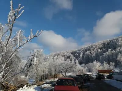 Къща За Гости