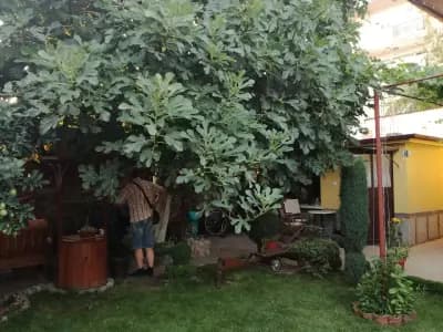 Къща за гости Релакс Сопот