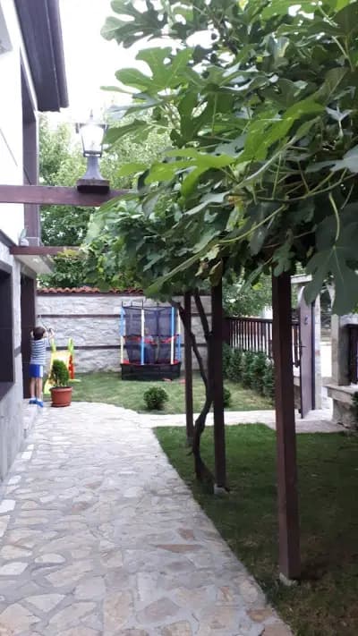 Guesthouse Orlovo