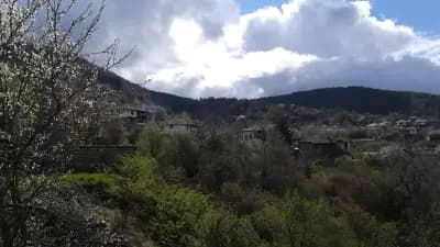 Dimmi House