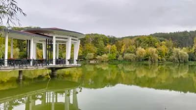 Ресторант Борово Око