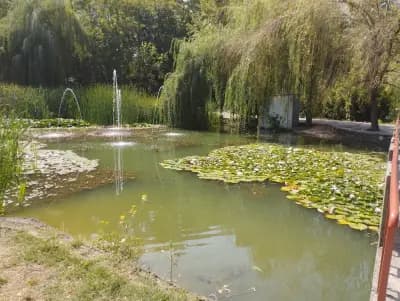 Ресторант Борово Око