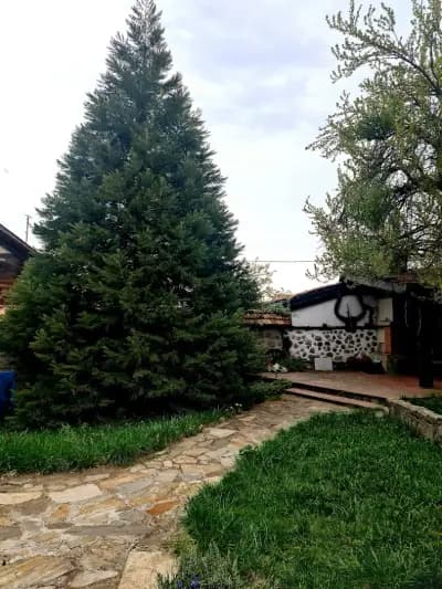 Self Catering Chalet Kulina