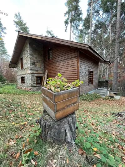 Вила „Рони“, Здравец
