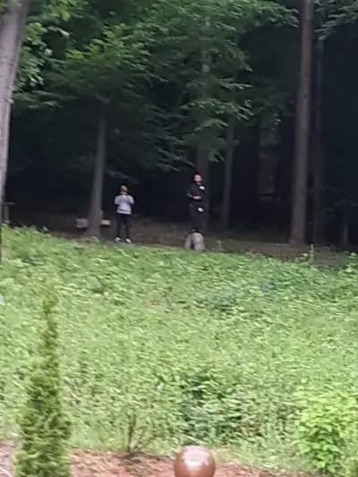 Арт хаус Василев