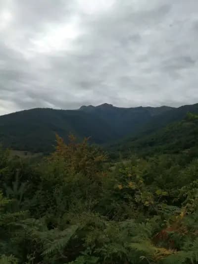 Къща за гости Бидим