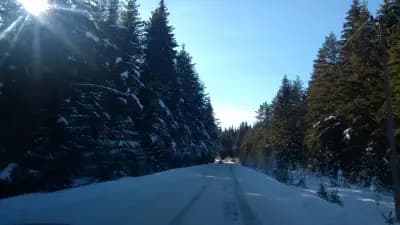 Крушарска Къща
