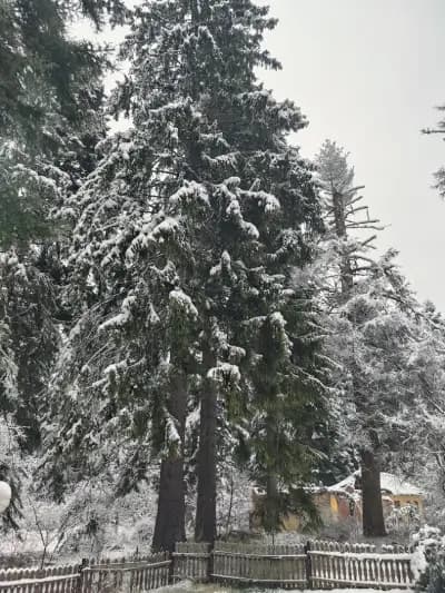 Persey Villa Borovets