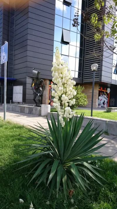 Нощувки в Пловдив ж.к. Тракия - Teis Apartments Trakia