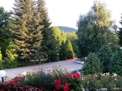 Хотелски комплекс Белият кон