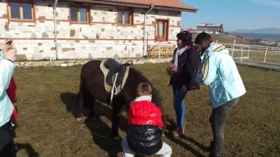 Guesthouse Petrovi Bansko