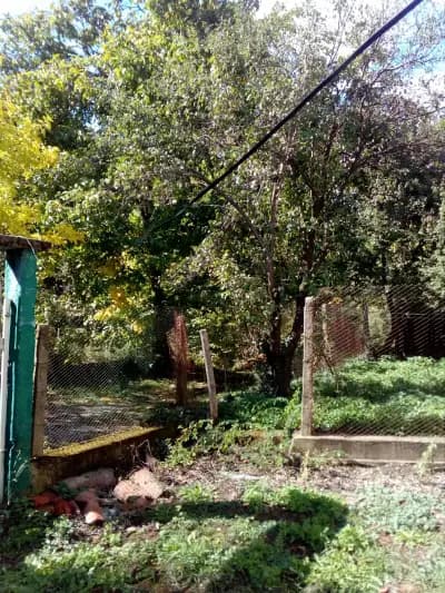 Къща за гости Торлакъ
