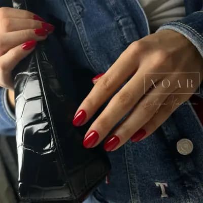NOAR Beauty
