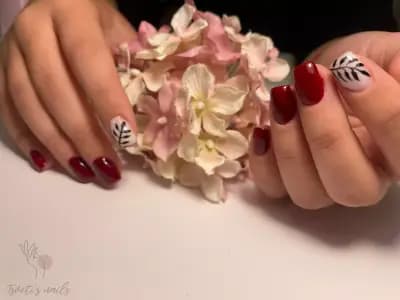 Professional beauty - TSI