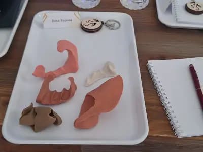 Belvedere Hand & foot care studio