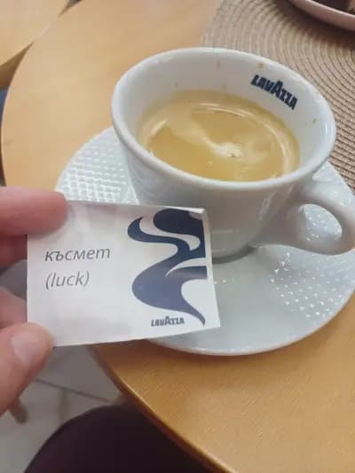 Dolce Gatti