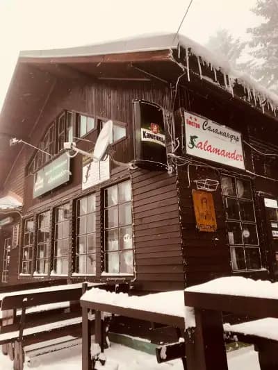 Саламандер