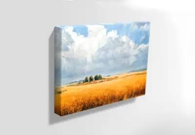 Yanev Arts