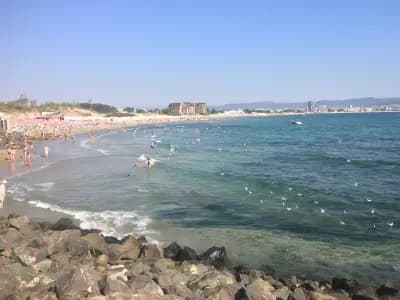 Екшън Ролба