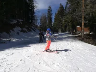 Игрална зала International