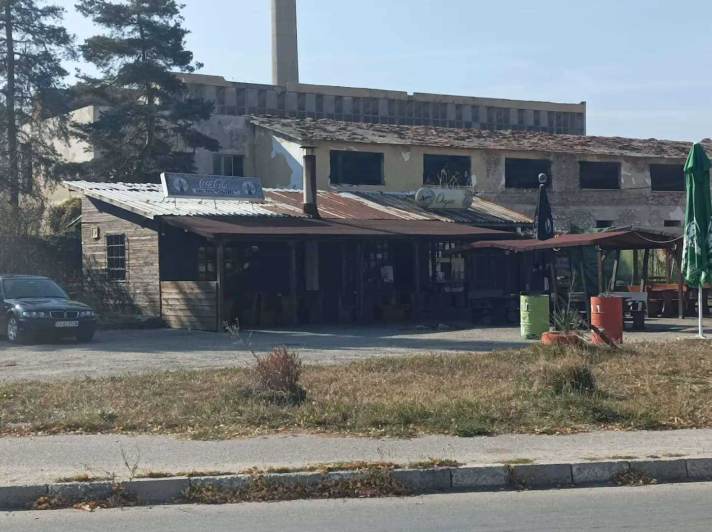 Оазис