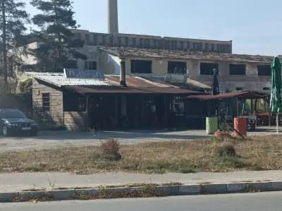 Оазис