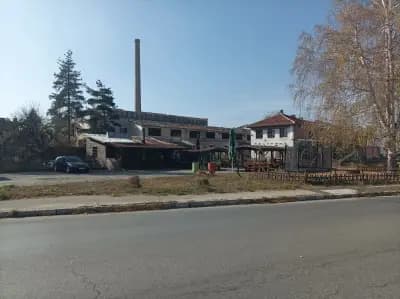 Оазис