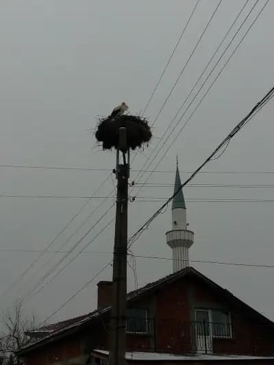 Джамия с. Кликач