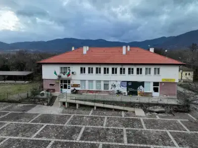 Цвети Ц+Ц