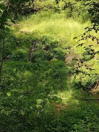 Водопади Старо Стефаново