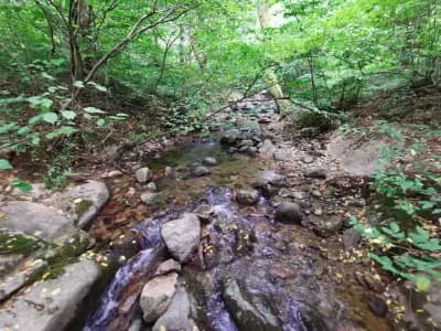 Местност „Водопада“, Вършец
