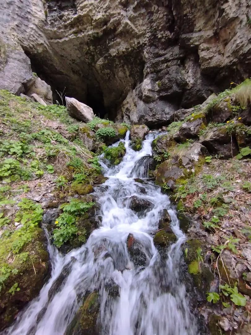 Водните дупки