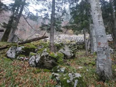 Водните дупки