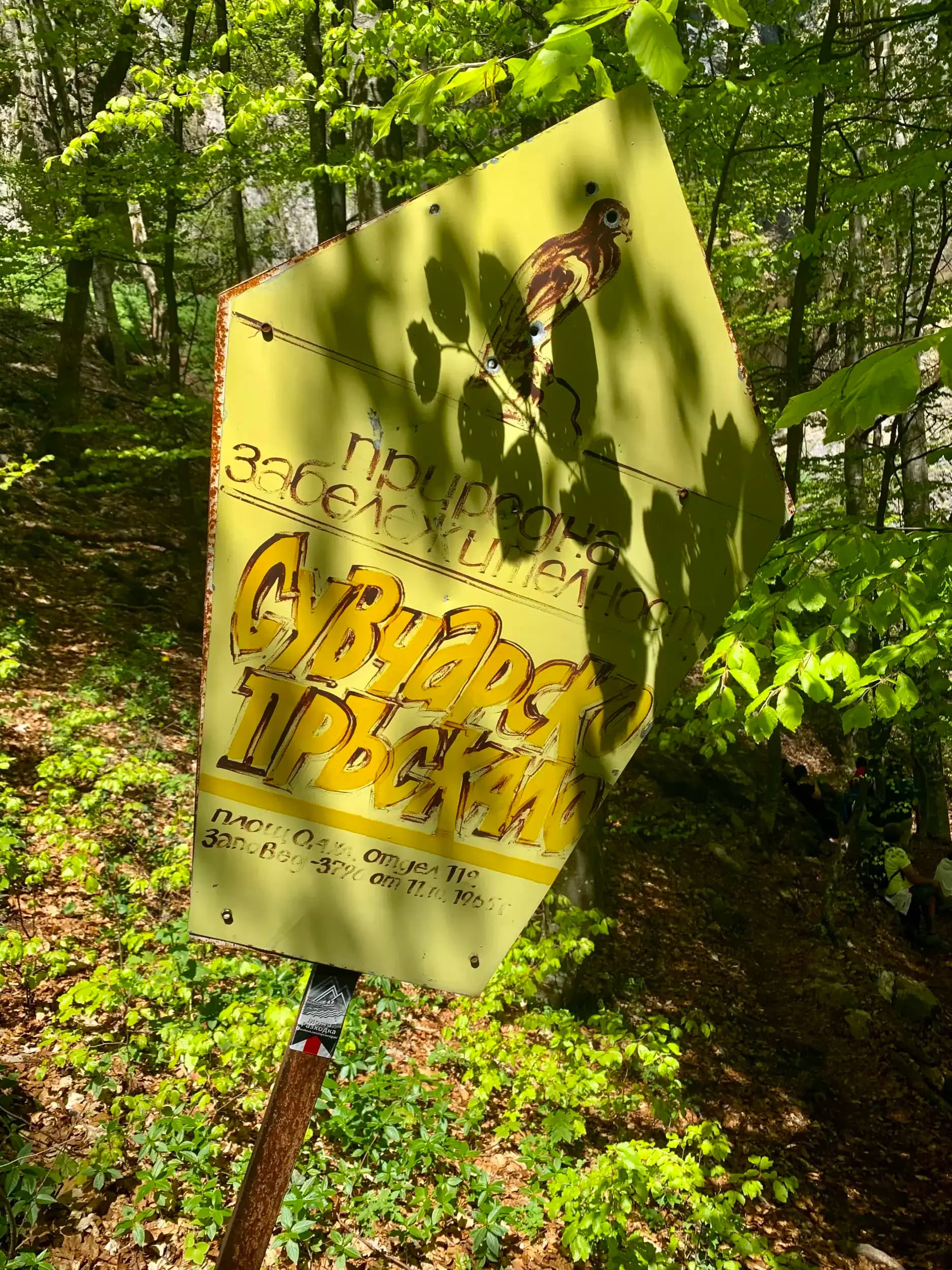 Сувчарско пръскало