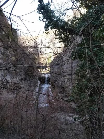 Пейката на Любовта