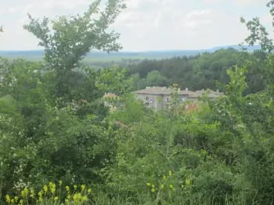 🌱Източен парк