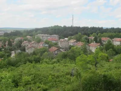 🌱Източен парк