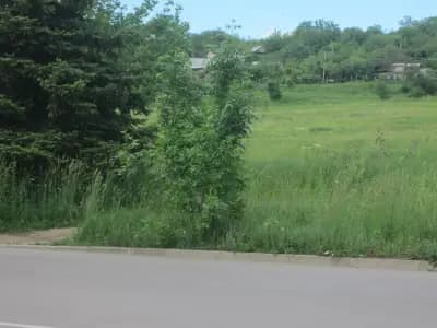 🌱Източен парк