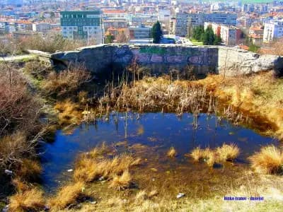 🌱Източен парк