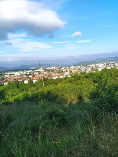 🌱Източен парк