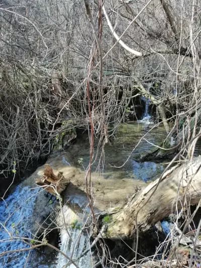 Водопад Боаза