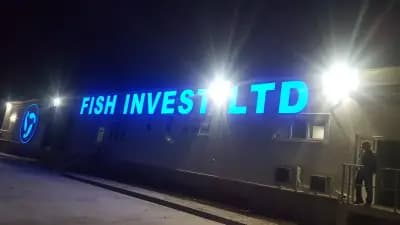 Фиш Инвест