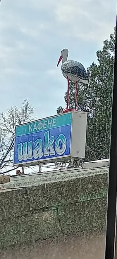 Kafe Shako
