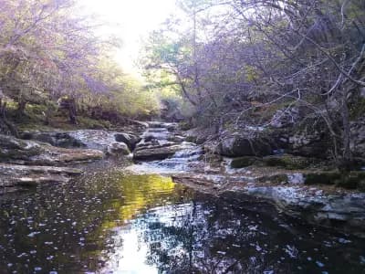 Дряновски водопад