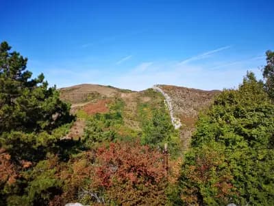 Връх Околчица