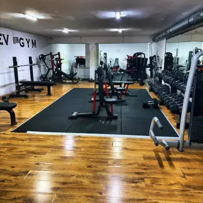 VASILEV GYM