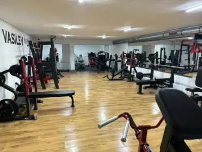 VASILEV GYM