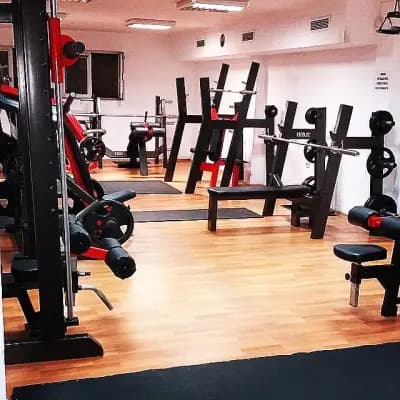 VASILEV GYM