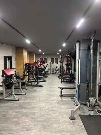 VASILEV GYM